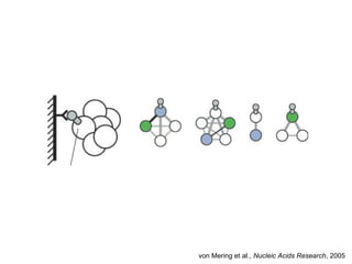 von Mering et al., Nucleic Acids Research, 2005
 