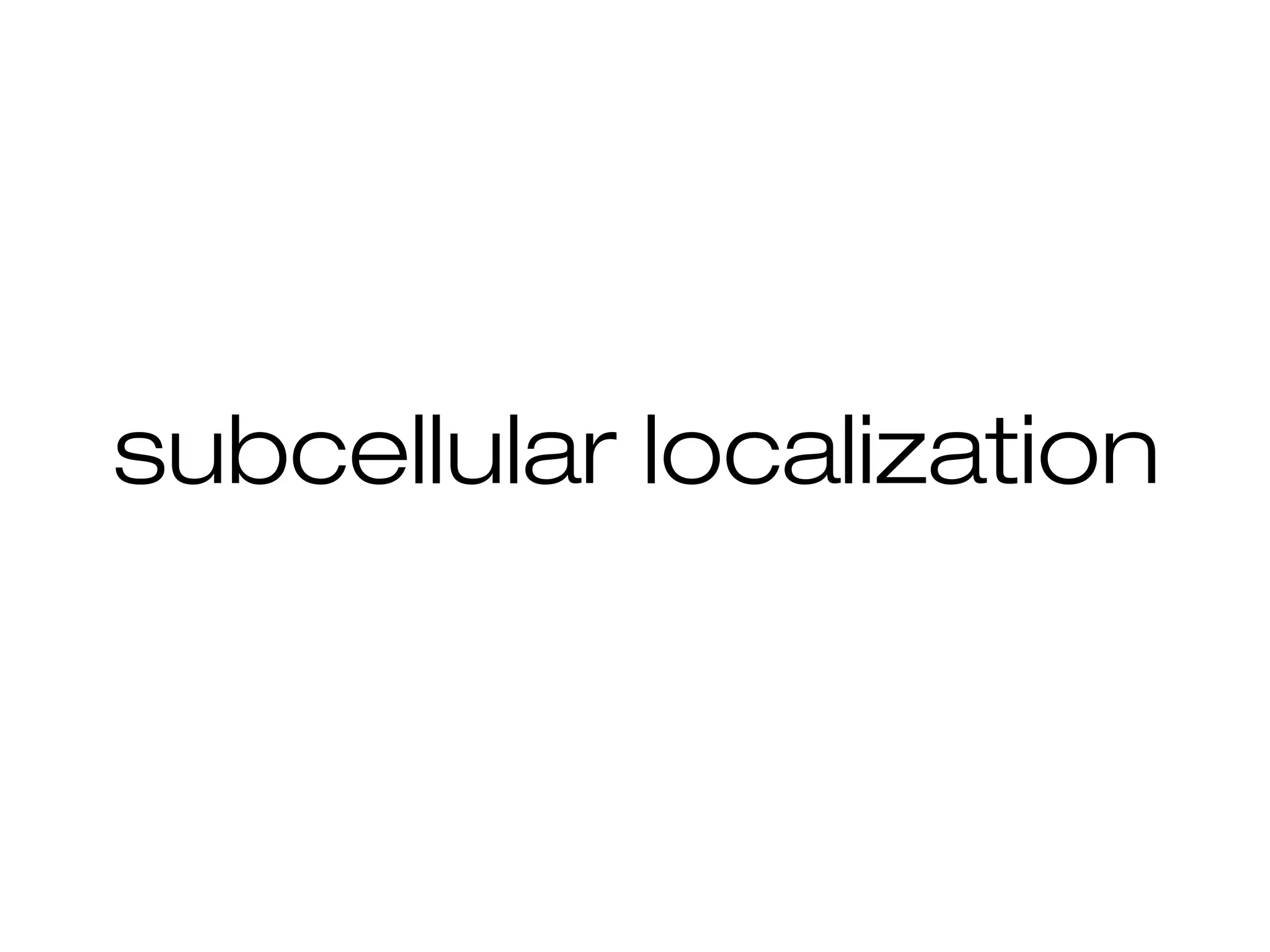 subcellular localization