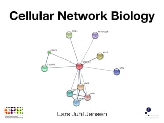 Cellular Network Biology
Lars Juhl Jensen
 