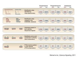 Weinert et al., Science Signaling, 2011
 