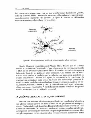 Jensen E cerebro_y_aprendizaje.pdf