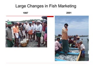 Large Changes in Fish Marketing
20011997
 