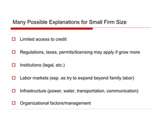 Many Possible Explanations for Small Firm Size
 Limited access to credit
 Regulations, taxes, permits/licensing may apply if grow more
 Institutions (legal, etc.)
 Labor markets (esp. as try to expand beyond family labor)
 Infrastructure (power, water, transportation, communication)
 Organizational factors/management
 