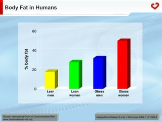 Fatty acid metabolism in humans | PPT