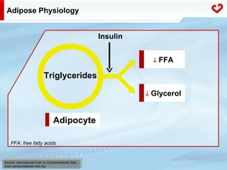 Fatty acid metabolism in humans