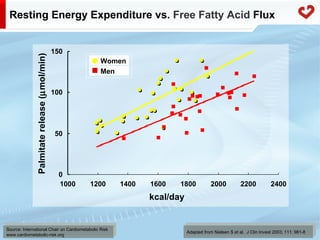 Fatty acid metabolism in humans