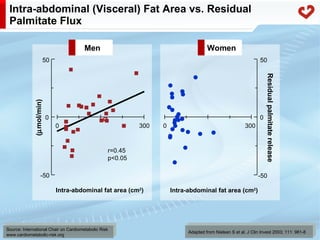Fatty acid metabolism in humans