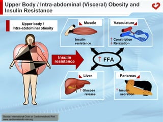 Fatty acid metabolism in humans