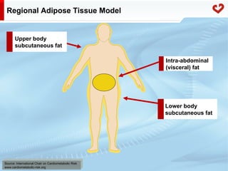Fatty acid metabolism in humans
