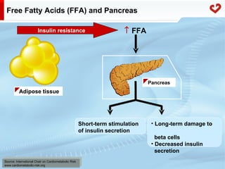 Fatty acid metabolism in humans