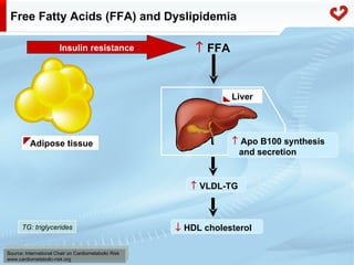 Fatty acid metabolism in humans