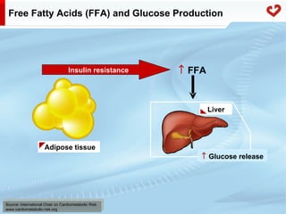 Fatty acid metabolism in humans
