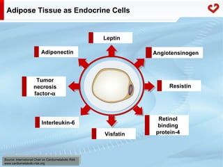 Fatty acid metabolism in humans