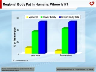 Fatty acid metabolism in humans