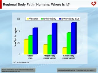 Fatty acid metabolism in humans