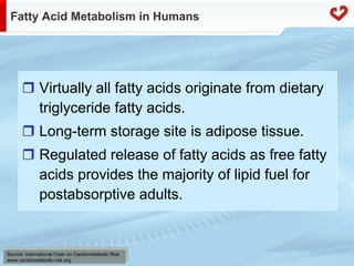Fatty acid metabolism in humans