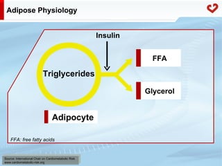 Fatty acid metabolism in humans