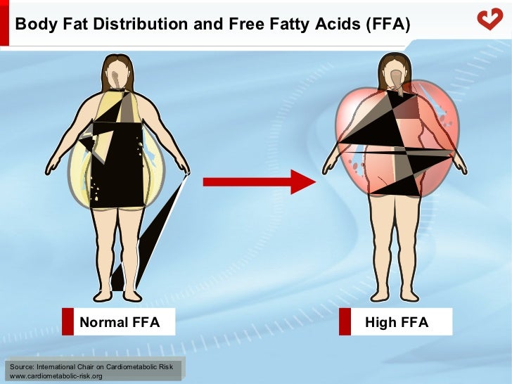 Fatty acid metabolism in humans