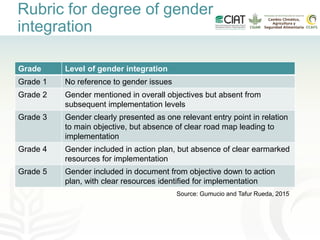 Gender-inclusive climate change policies in Latin America