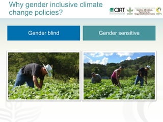 Gender-inclusive climate change policies in Latin America