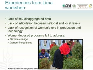 Gender-inclusive climate change policies in Latin America