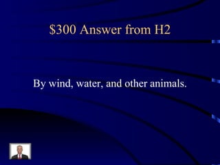 $300 Answer from H2 By wind, water, and other animals. 