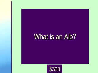 What is an Alb? $300 