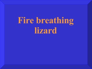 Fire breathing lizard 