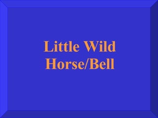 Little Wild Horse/Bell 