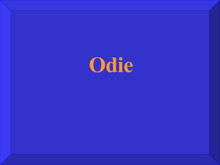 Odie 