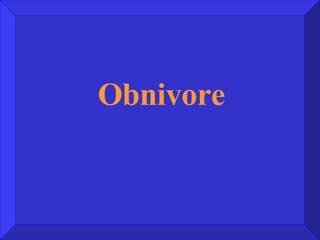 Obnivore 