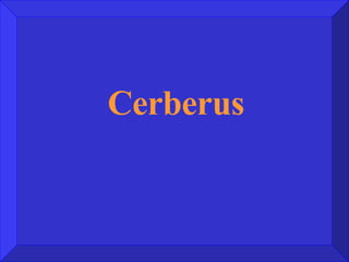 Cerberus 