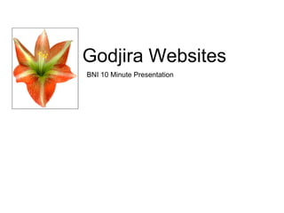 Godjira Websites BNI 10 Minute Presentation 