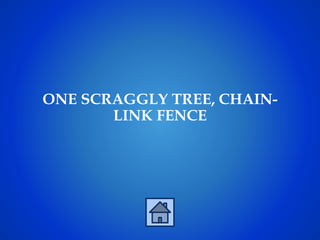 ONE SCRAGGLY TREE, CHAIN-
LINK FENCE
 