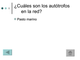 ¿Cuáles son los autótrofos en la red? Pasto marino 