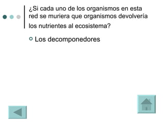 ¿Si cada uno de los organismos en esta red se muriera que organismos devolvería los nutrientes al ecosistema?  Los decomponedores 