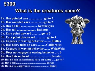 © Mark E. Damon - All Rights Reserved

   $300
                 What is the creatures name?
1a. Has pointed ears .................. go to 3
1b. Has rounded ears .................go to 2
2a. Has no tail .................... Kentuckyus
2b. Has tail ........................ Dakotus
3a. Ears point upward ........... go to 5
3b. Ears point downward ..............go to 4
4a. Engages in waving behavior ......... Dallus
4b. Has hairy tufts on ears ...........Californius
5a. Engages in waving behavior ....... WalaWala
5b. Does not engage in waving behavior ..... 6
6a. Has hair on head ........................... Beverlus
6b. Has no hair on head (may have ear tufts) .......go to 7
7a. Has a tail ............................................. Yorkio
7b. Has no tail, aggressive ............................ Rajus
 