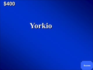 © Mark E. Damon - All Rights Reserved

   $400



                                    Yorkio



                                             Scores
 