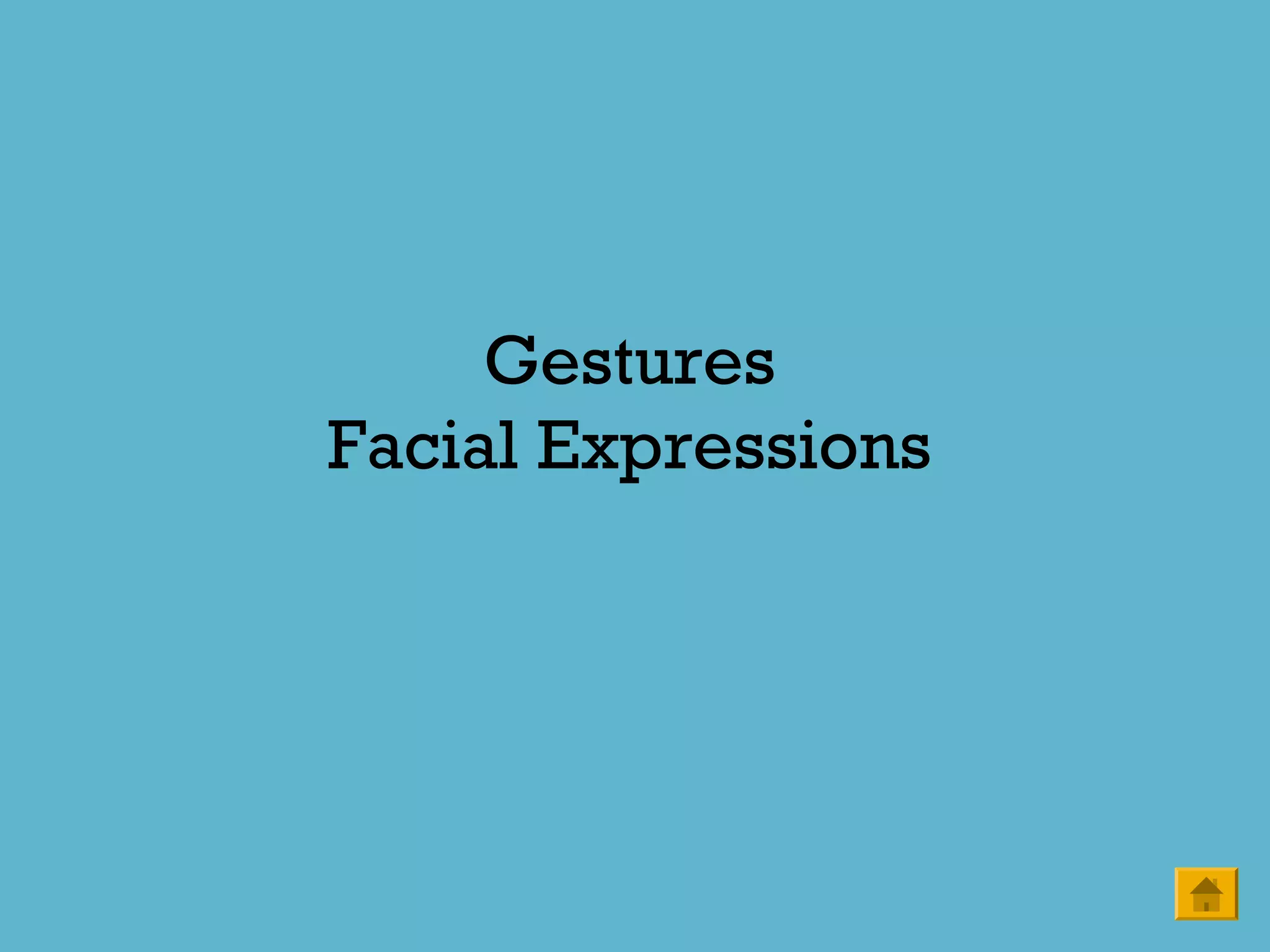 Gestures
Facial Expressions
 
