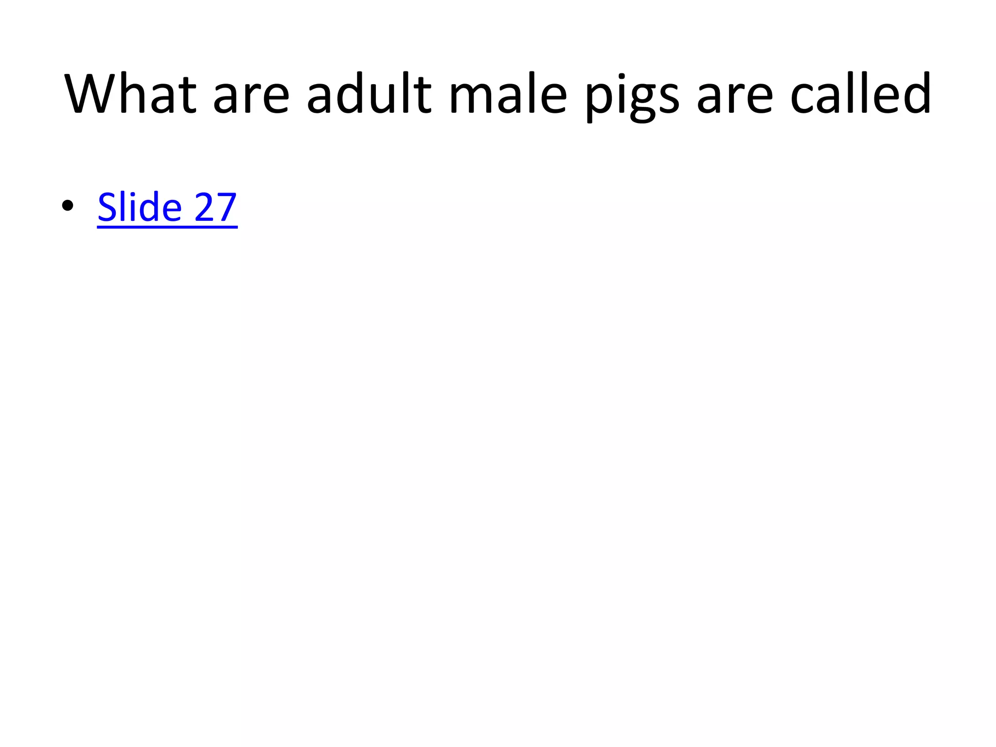 What are adult male pigs are called
• Slide 27
 