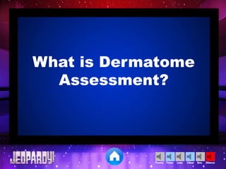 Cheer SilenceLoseTimer BooTheme
What is Dermatome
Assessment?
 