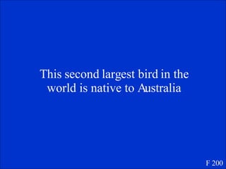 This second largest bird in the world is native to Australia F 200 