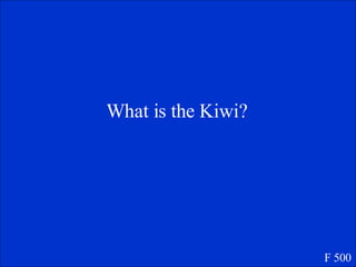 What is the Kiwi? F 500 