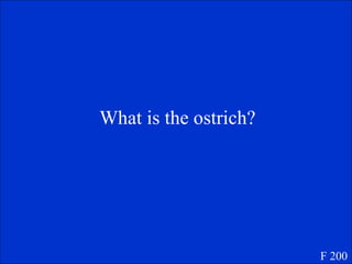 What is the ostrich? F 200 