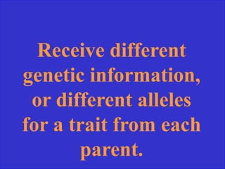 Receive different
genetic information,
or different alleles
for a trait from each
parent.
 