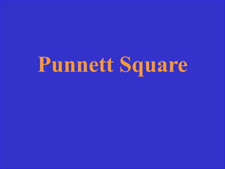 Punnett Square
 