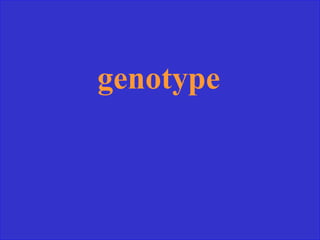 genotype
 