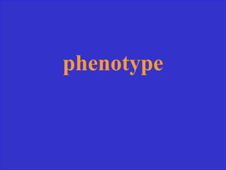 phenotype
 