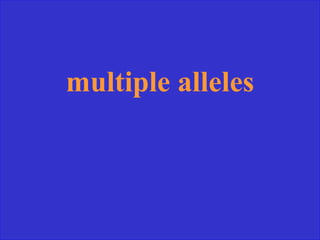 multiple alleles
 