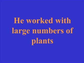 He worked with
large numbers of
plants
 